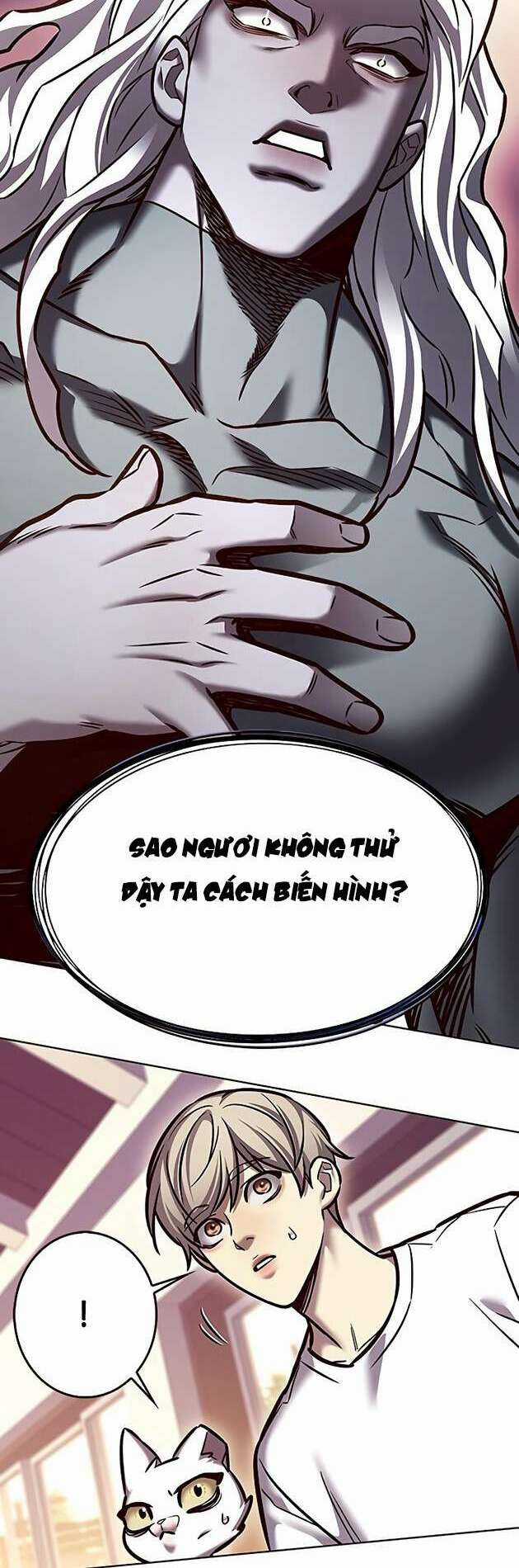 Biến Thân Thành Mèo - Chapter 278 - Trang 64