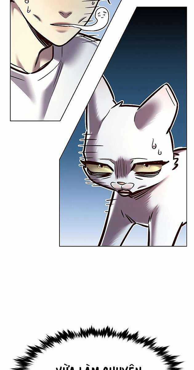 Biến Thân Thành Mèo - Chapter 278 - Trang 8