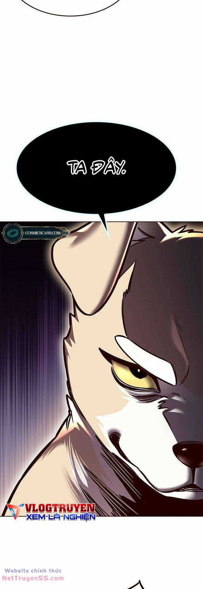 Biến Thân Thành Mèo - Chapter 279 - Trang 49