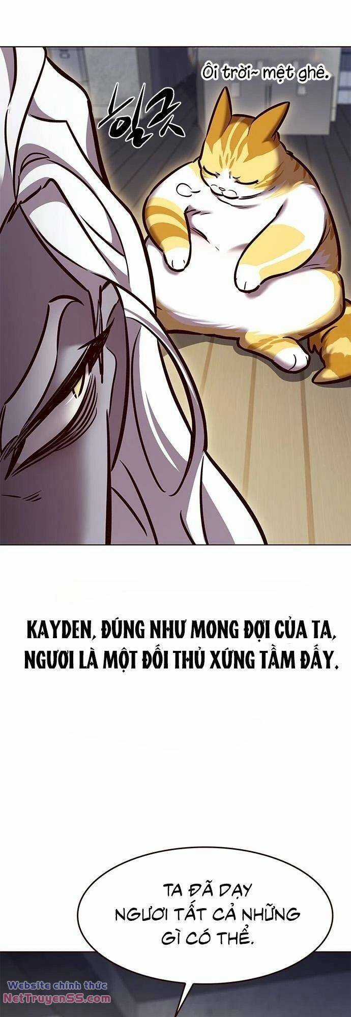 Biến Thân Thành Mèo - Chapter 279 - Trang 7