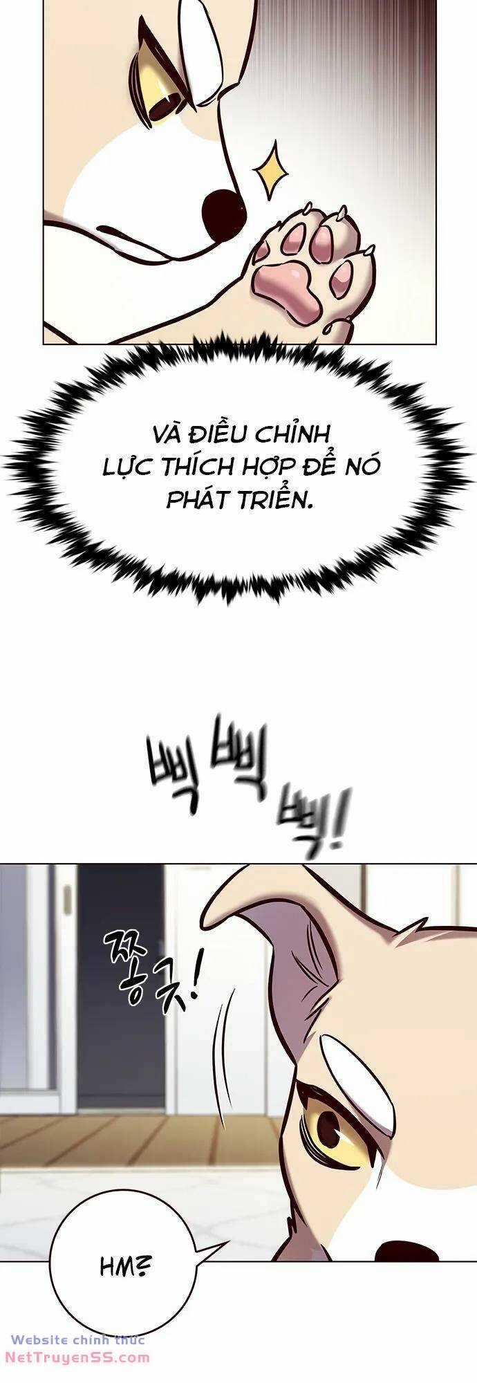 Biến Thân Thành Mèo - Chapter 280 - Trang 11