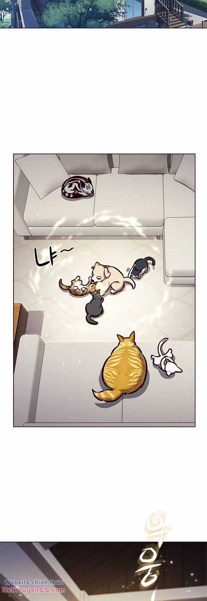Biến Thân Thành Mèo - Chapter 280 - Trang 3