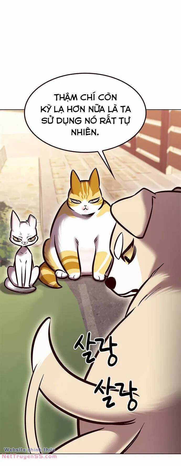 Biến Thân Thành Mèo - Chapter 280 - Trang 26