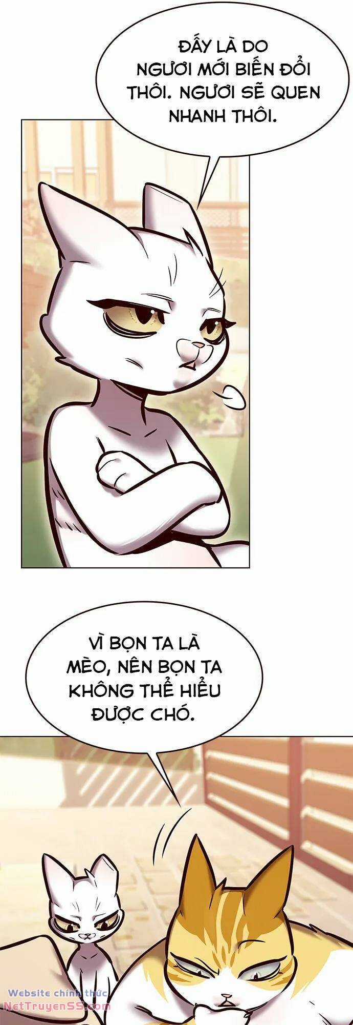 Biến Thân Thành Mèo - Chapter 280 - Trang 27