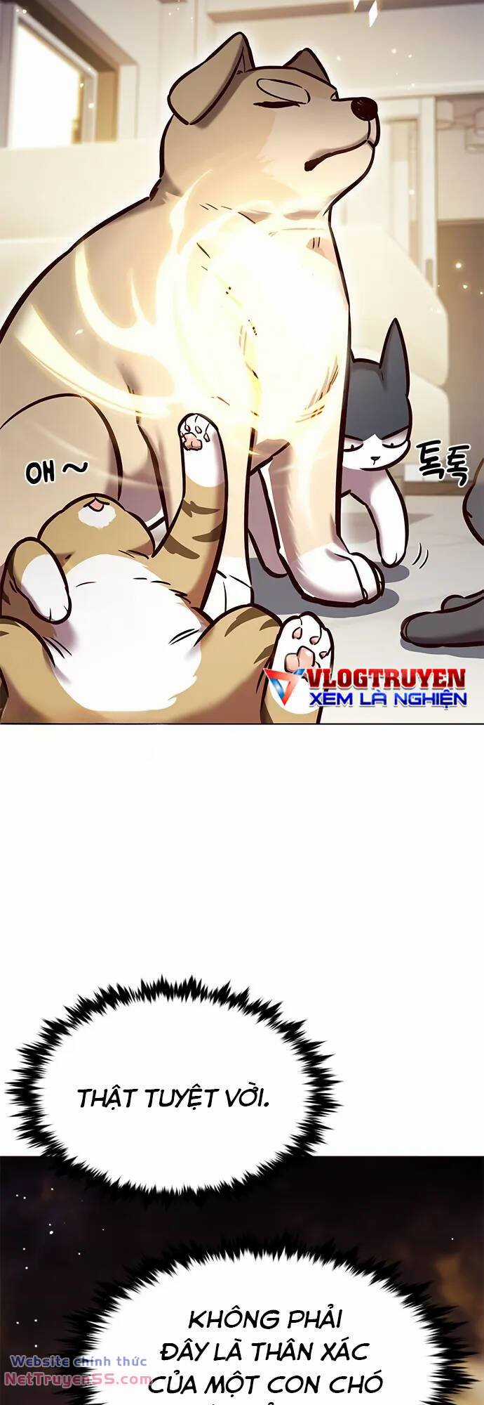 Biến Thân Thành Mèo - Chapter 280 - Trang 4