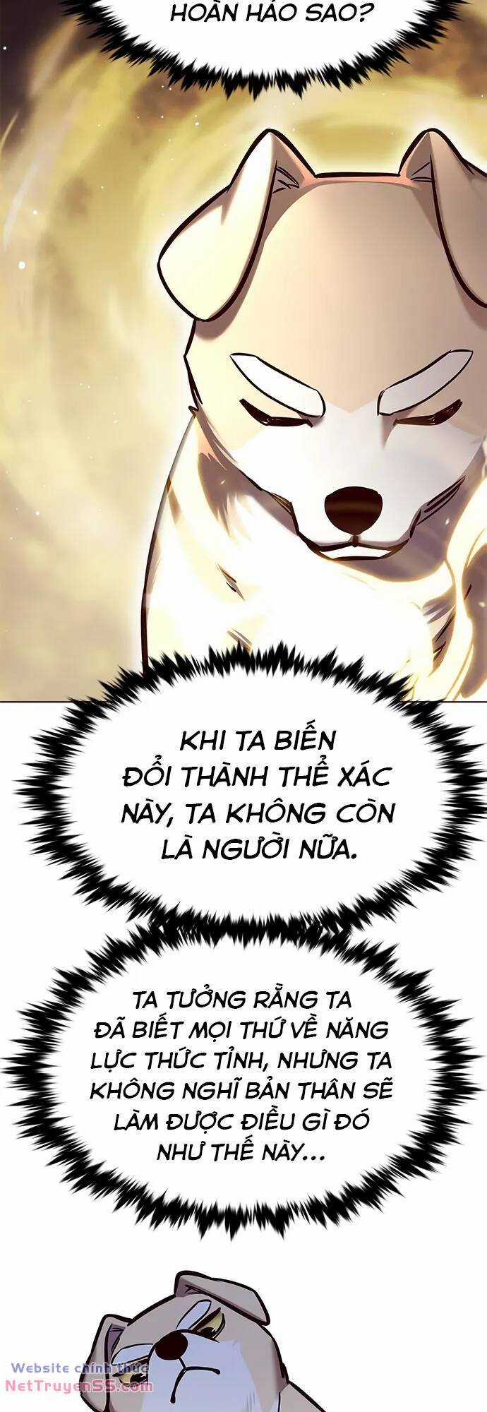 Biến Thân Thành Mèo - Chapter 280 - Trang 5