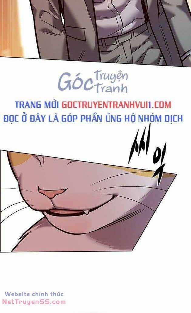 Biến Thân Thành Mèo - Chapter 282 - Trang 61