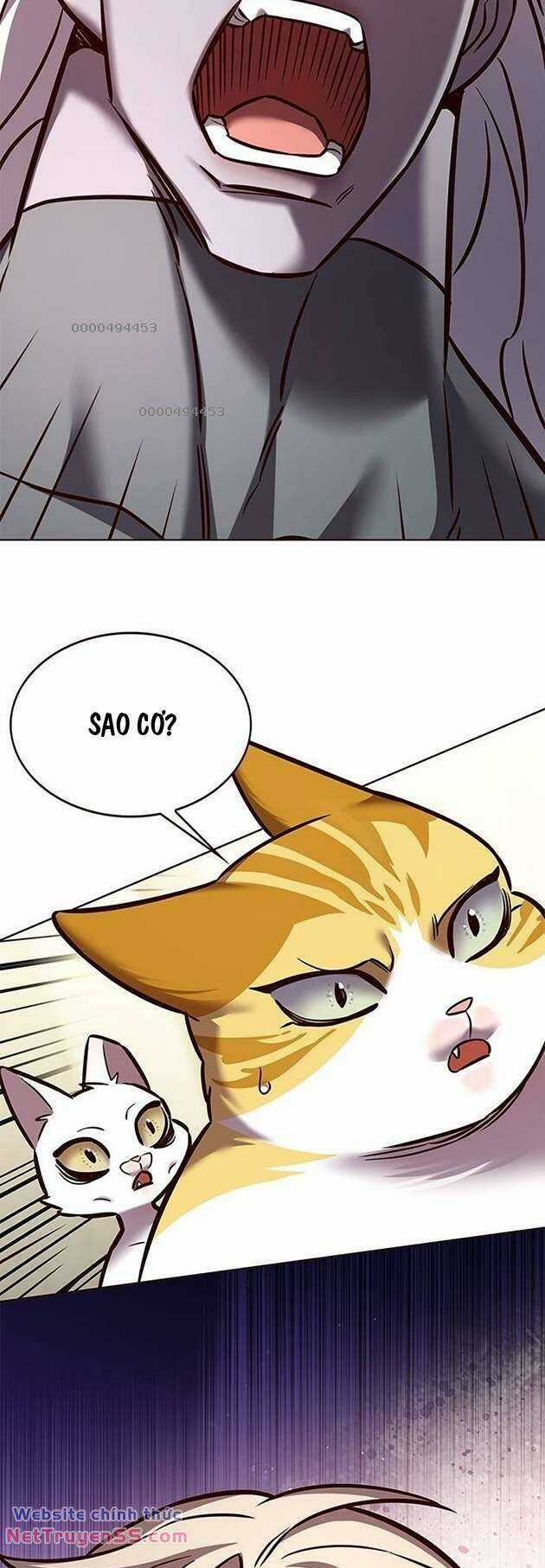 Biến Thân Thành Mèo - Chapter 283 - Trang 78