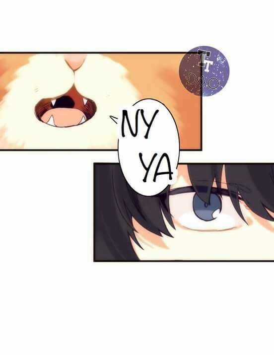 Biểu Đồ Của Linh Mục - Chapter 4 - Trang 35