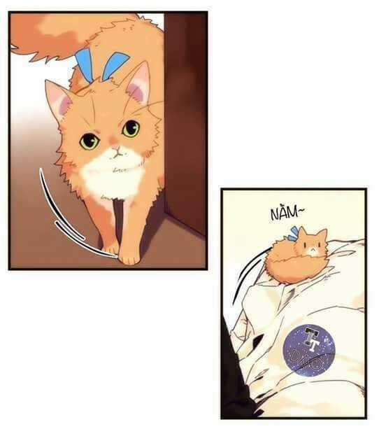 Biểu Đồ Của Linh Mục - Chapter 4 - Trang 45