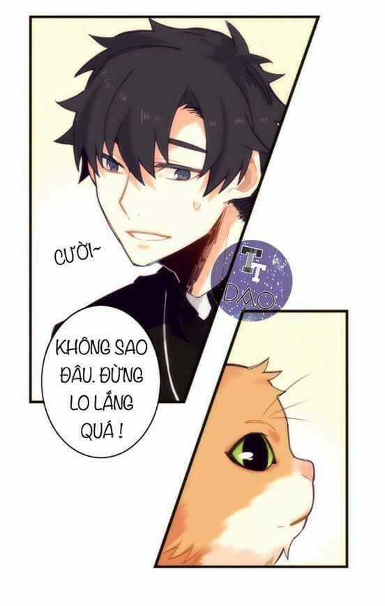 Biểu Đồ Của Linh Mục - Chapter 4 - Trang 47