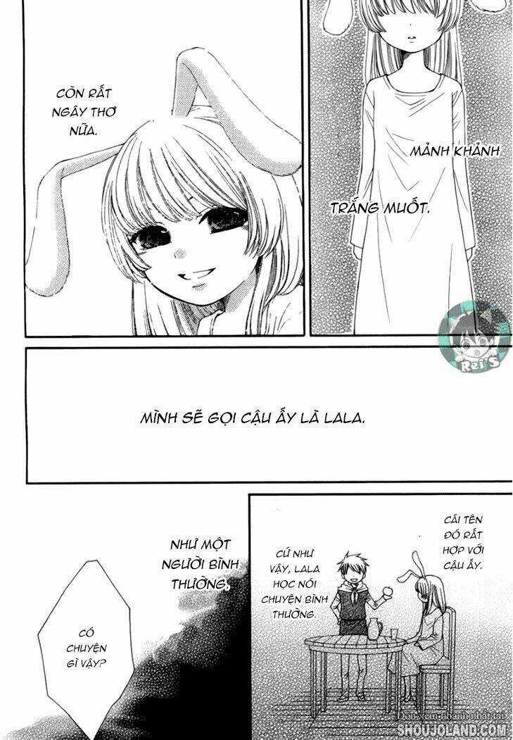 Bình Minh Arcana - Chapter 41 - Trang 11