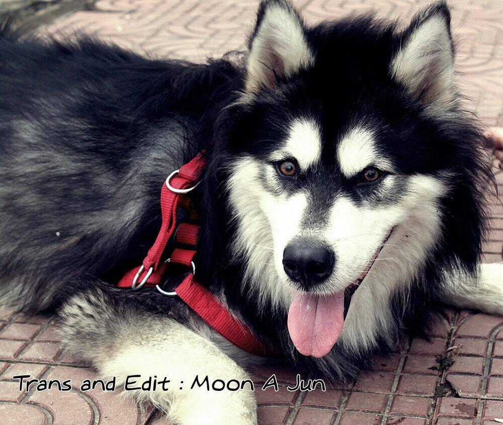 Bình Minh U Sầu - Chapter 27 - Trang 1