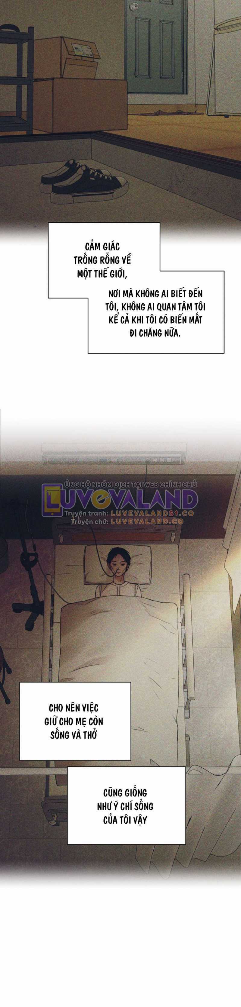 Bình Minh - Chapter 40: ToptruyenZ.com - Trang 19