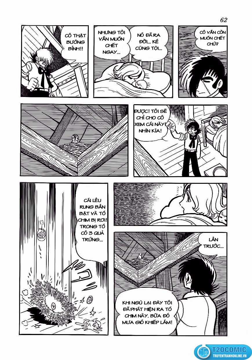 Black Jack - Chapter 173 - Trang 15