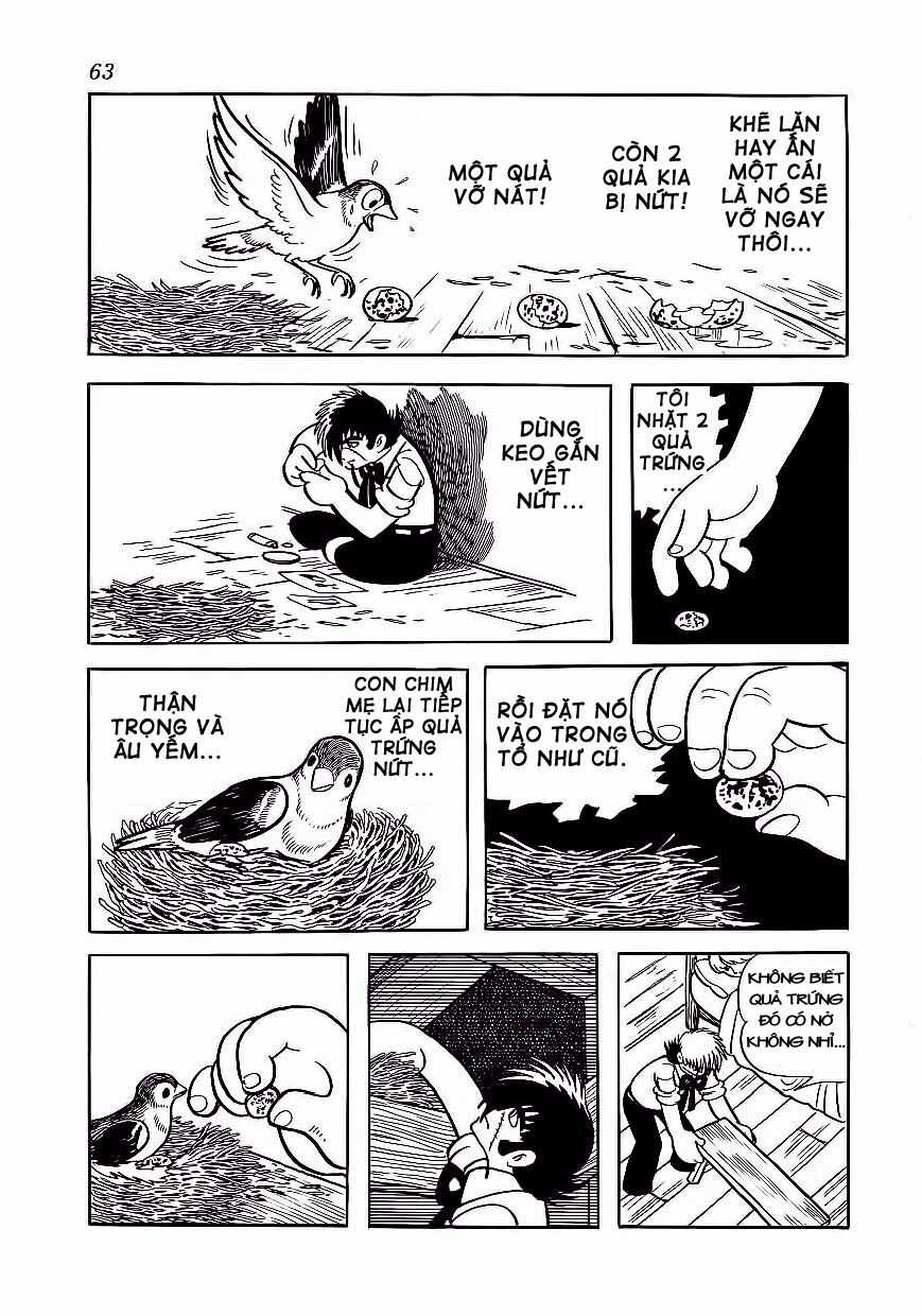 Black Jack - Chapter 173 - Trang 16