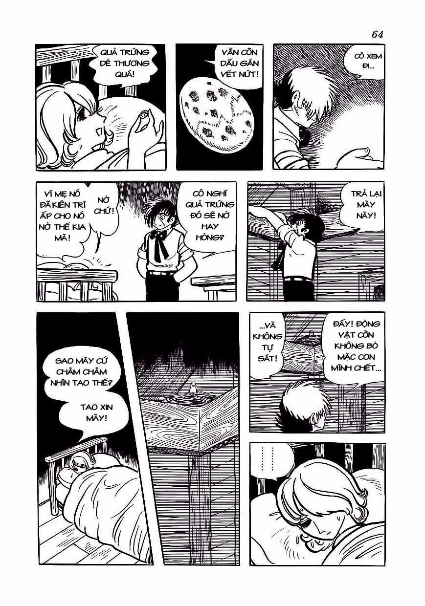 Black Jack - Chapter 173 - Trang 17