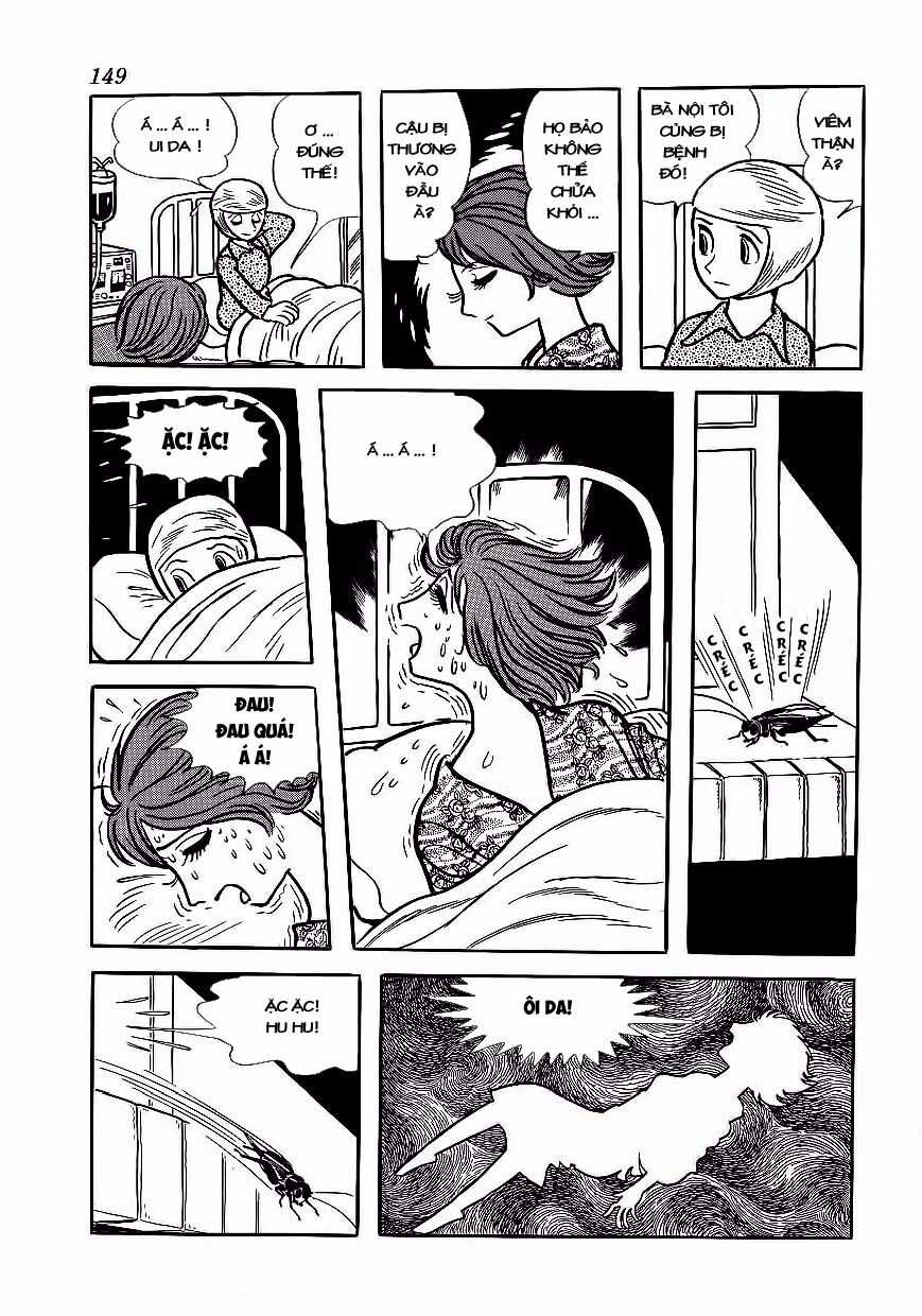 Black Jack - Chapter 177 - Trang 13