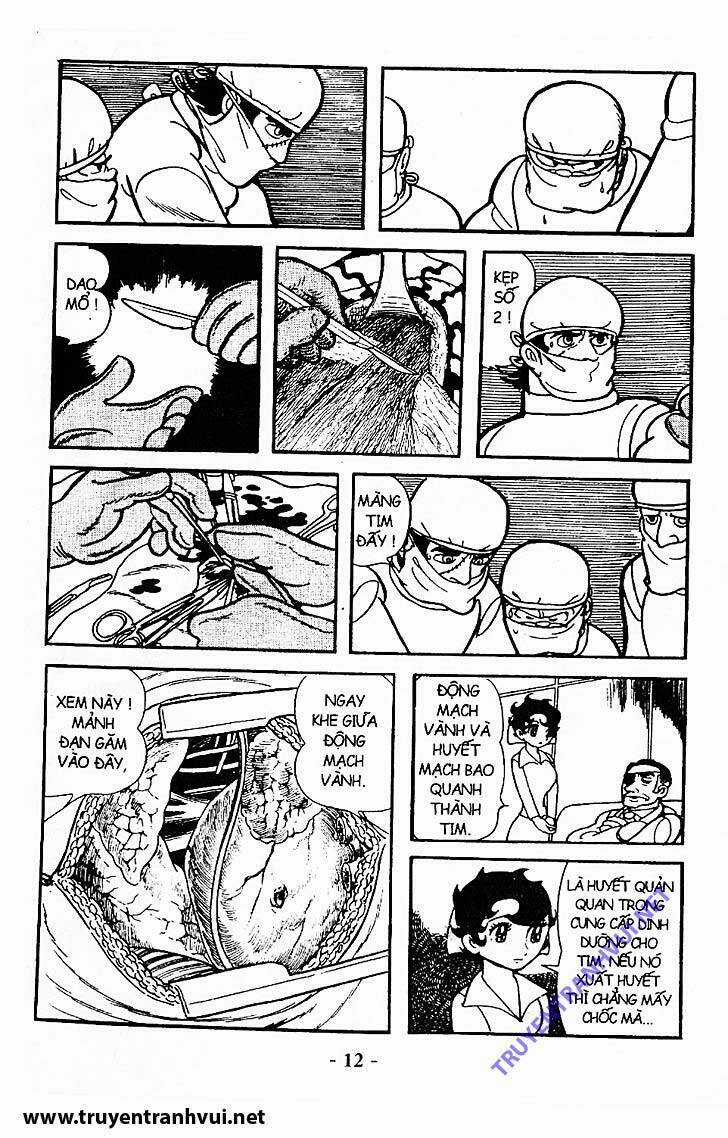Black Jack - Chapter 210 - Trang 12