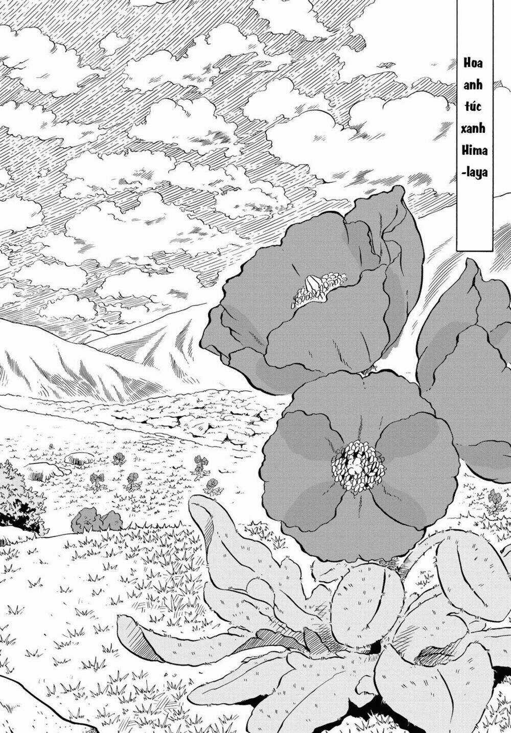 Blissful Land - Chapter 11 - Trang 15