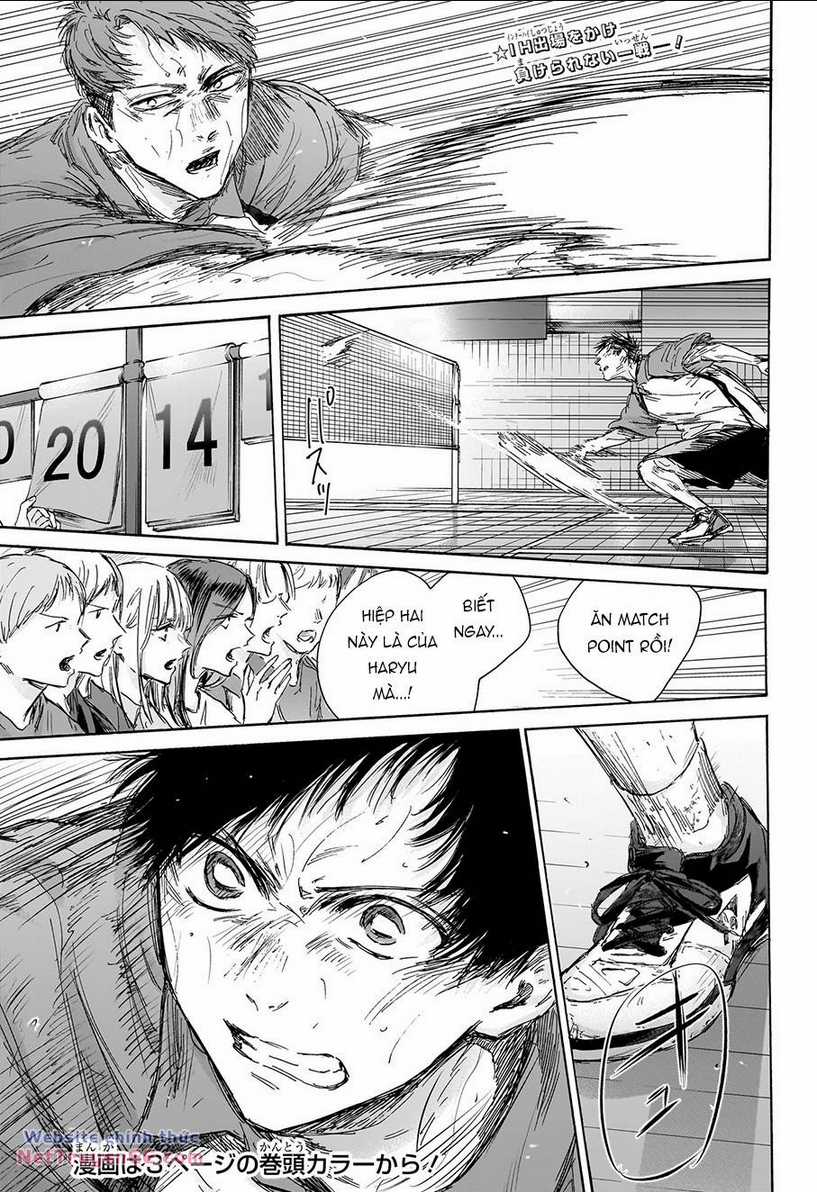 Blue Box - Chapter 141 - Trang 4