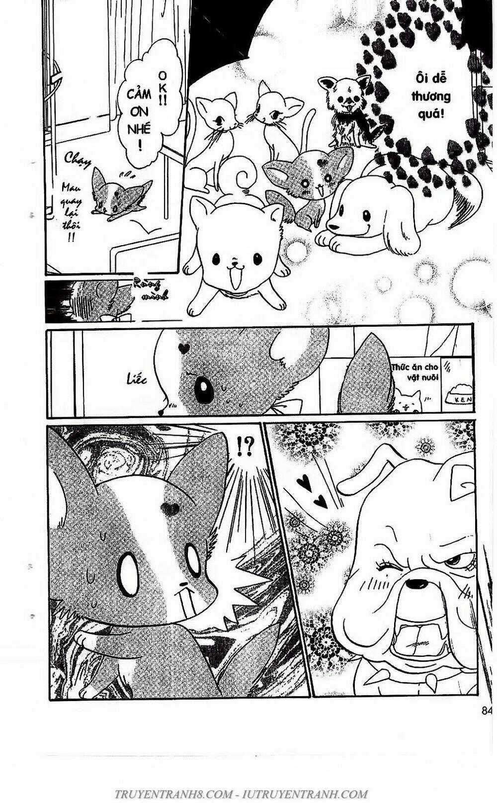 Bộ Sưu Tập Lọ Lem - Chapter 50 - Trang 2