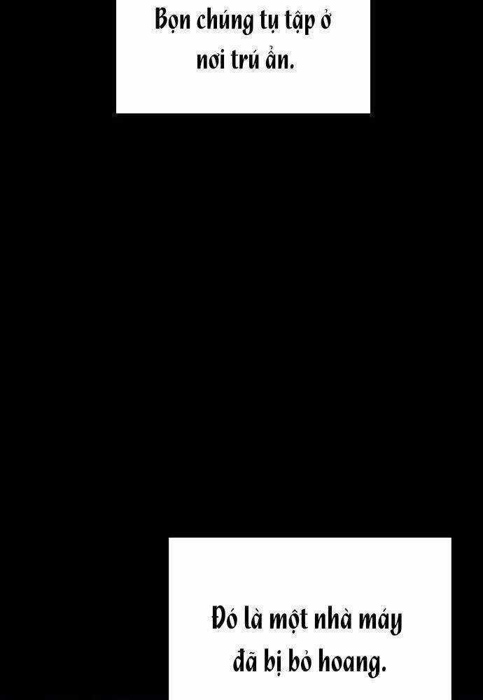 Bố Vạn Năng - Chương 24 - Trang 14