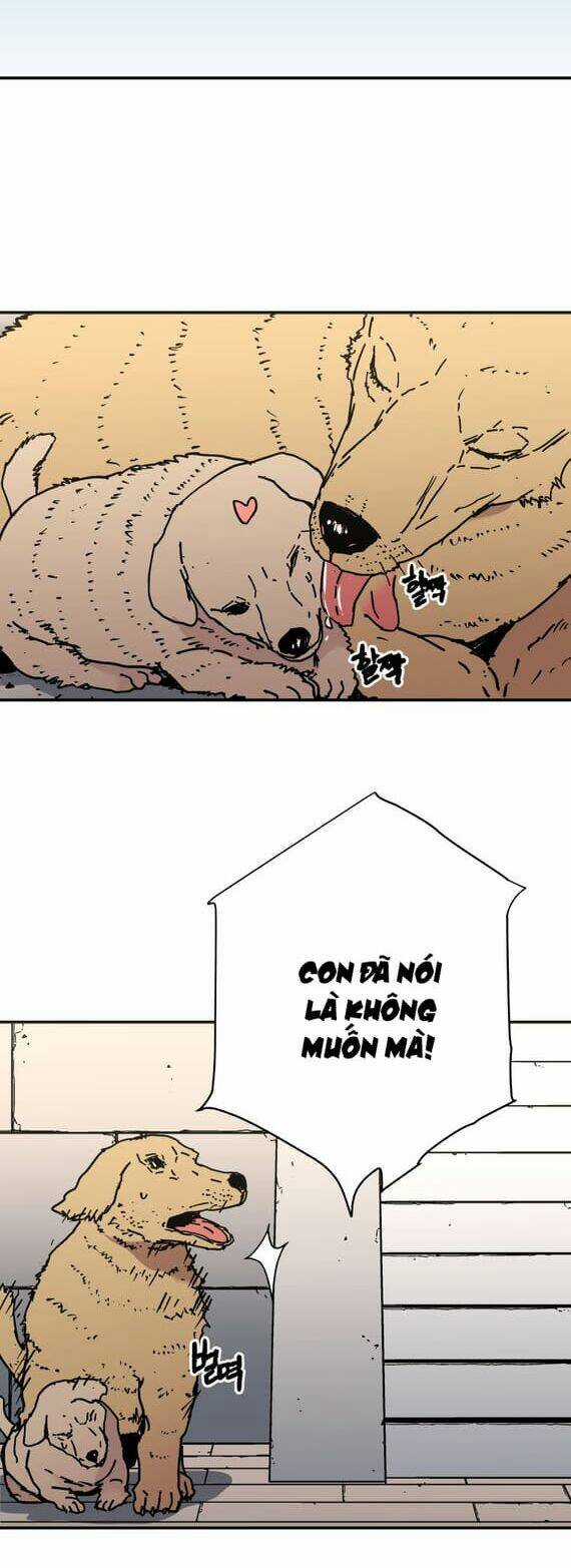 Bố Vô Song - Chapter 148 - Trang 31