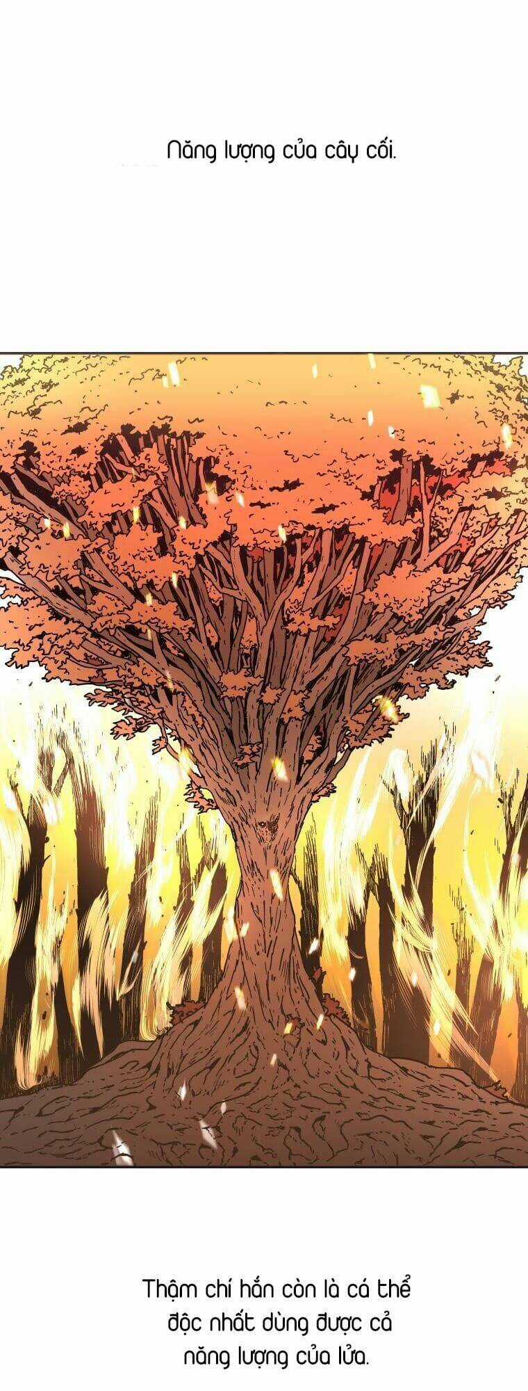 Bố Vô Song - Chapter 157 - Trang 28