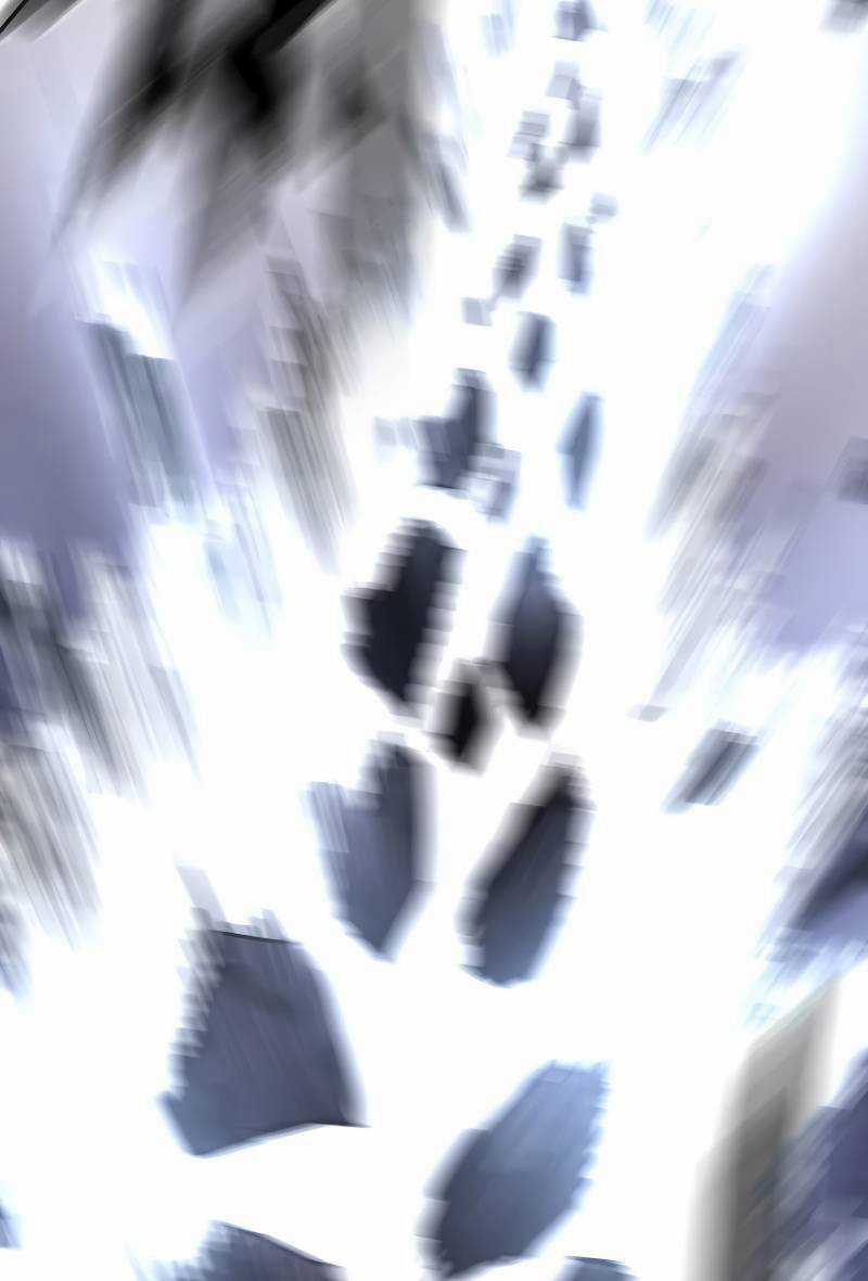 Bố Vô Song - Chapter 232 - Trang 32