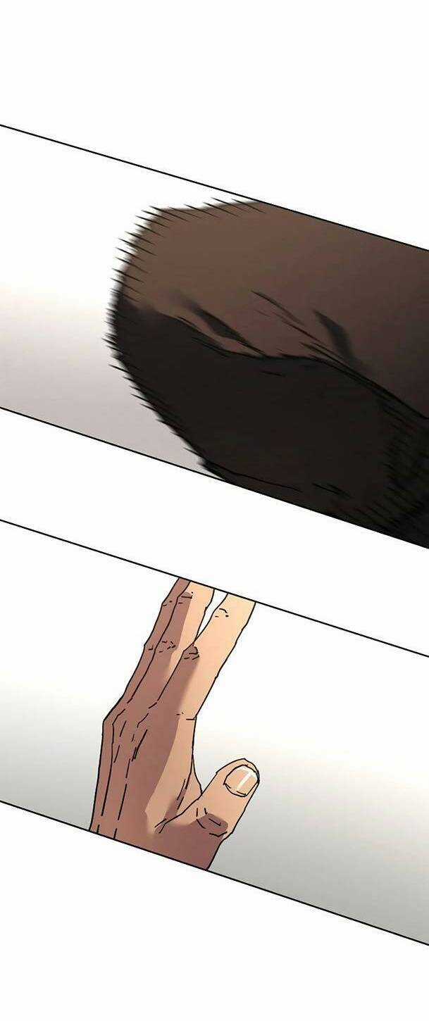 Bố Vô Song - Chapter 250 - Trang 5