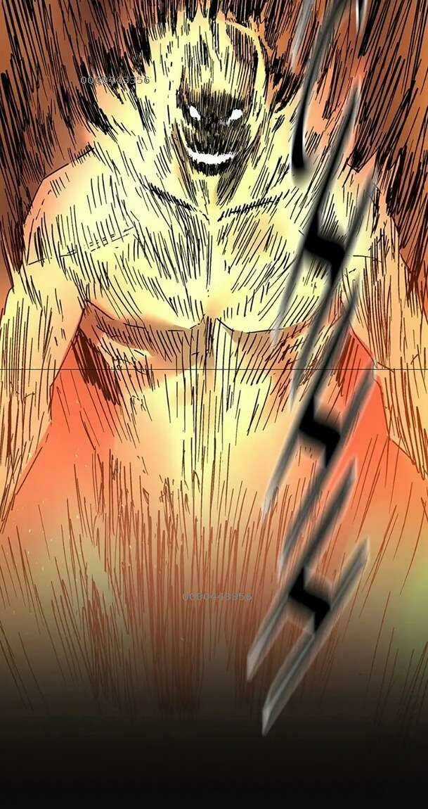 Bố Vô Song - Chapter 260 - Trang 5