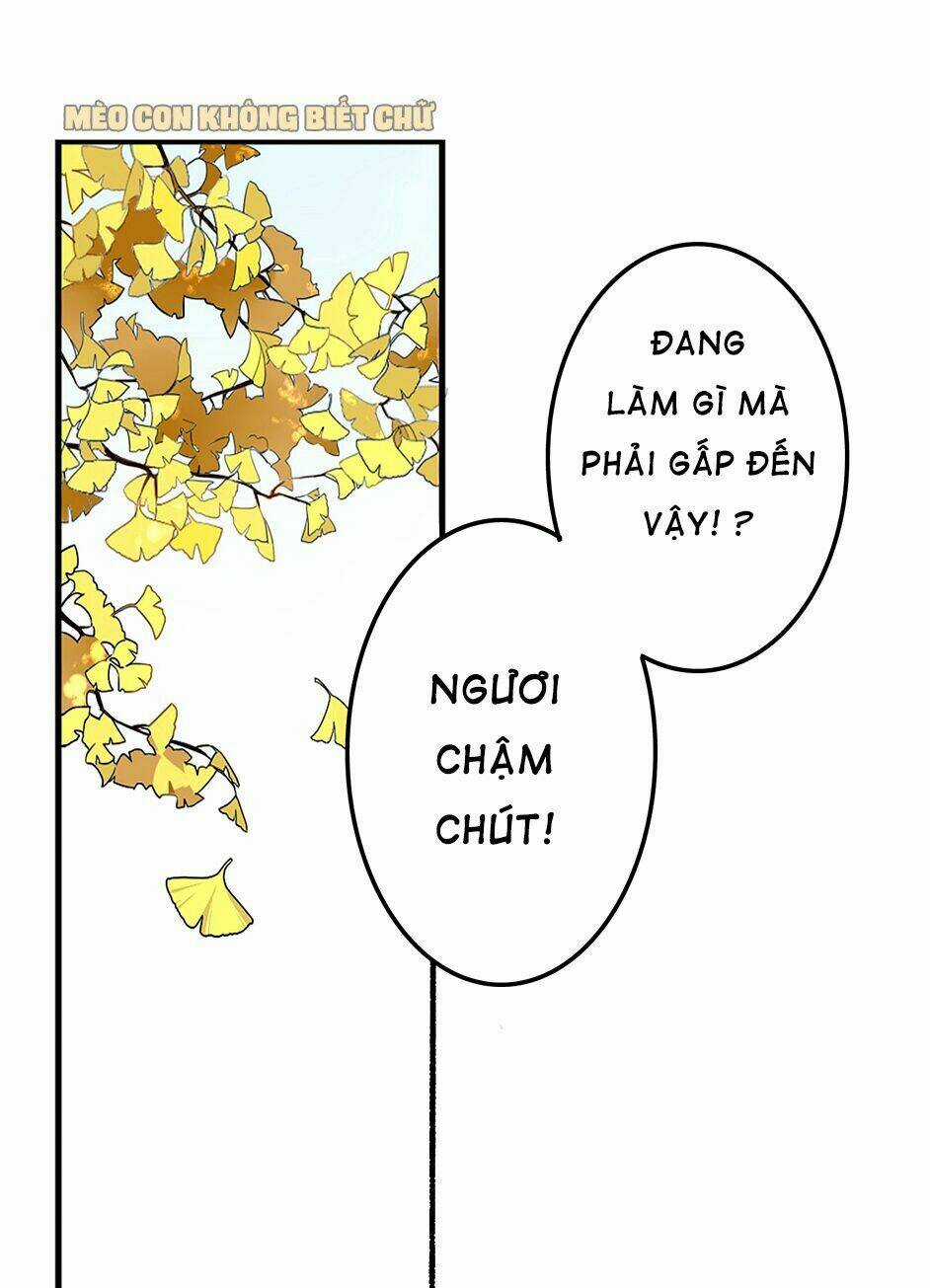 Bốc Toán Tử - Chapter 2 - Trang 12