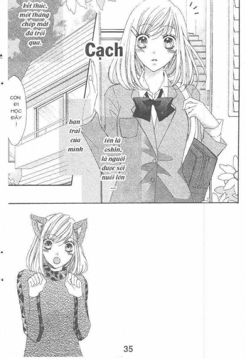 Boku Wa Ookami - Chapter 15 - Trang 2