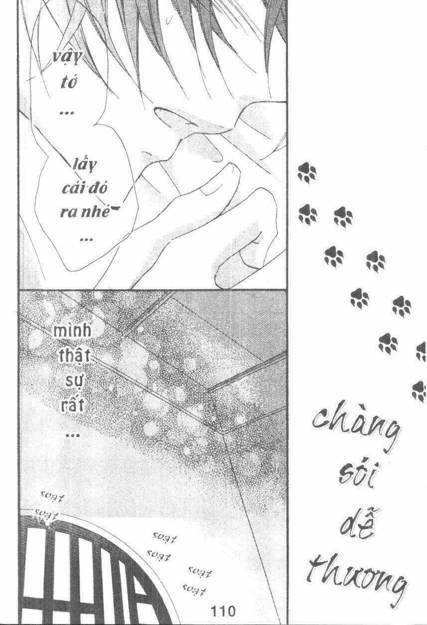 Boku Wa Ookami - Chapter 17 - Trang 14