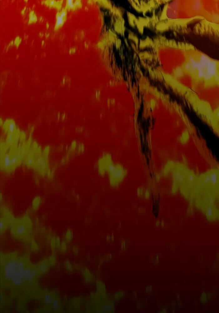 Bones - Chapter 4 - Trang 184