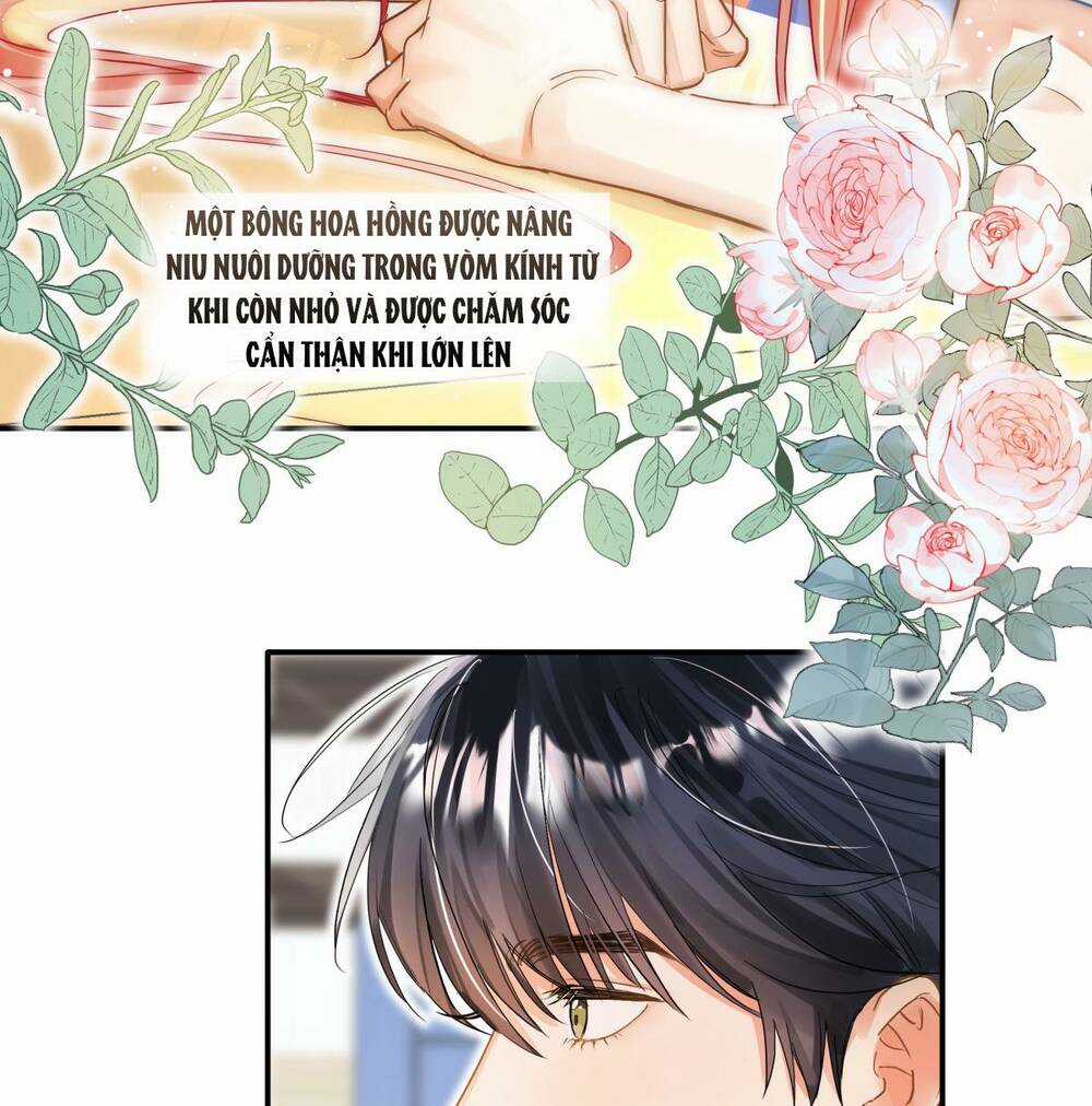 Bong Bóng Đào Chi - Chapter 12 - Trang 7