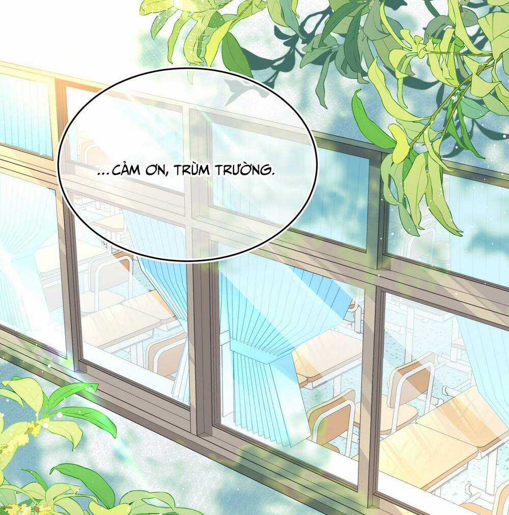 Bong Bóng Đào Chi - Chapter 12 - Trang 9