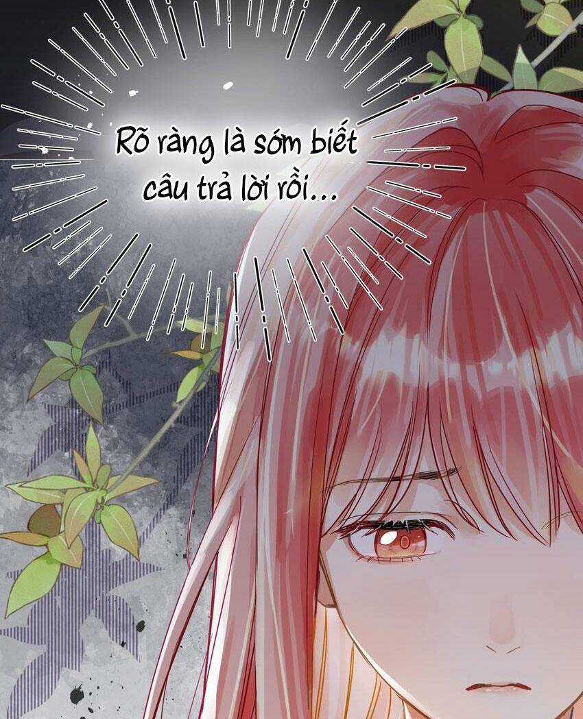 Bong Bóng Đào Chi - Chapter 5 - Trang 19