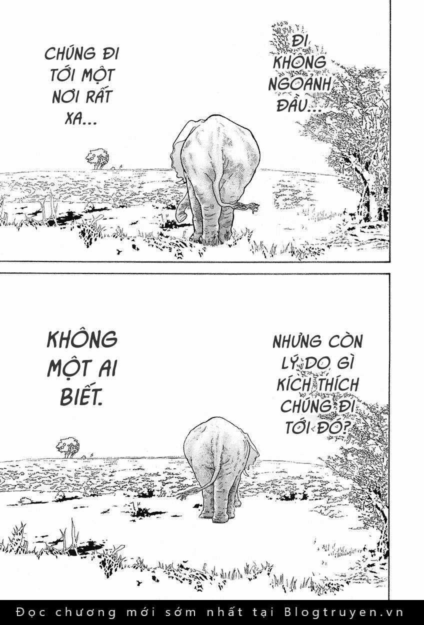 Bóng Lưng - Chapter 15 - Trang 5