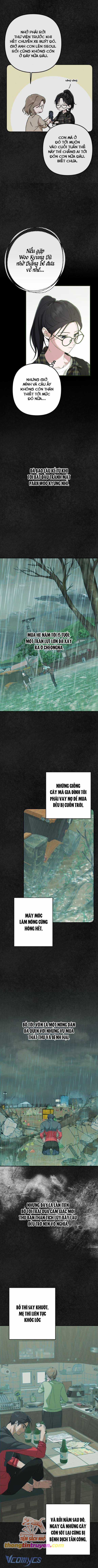 Bóng Râm Mùa Xuân - Chapter 8 - Trang 3