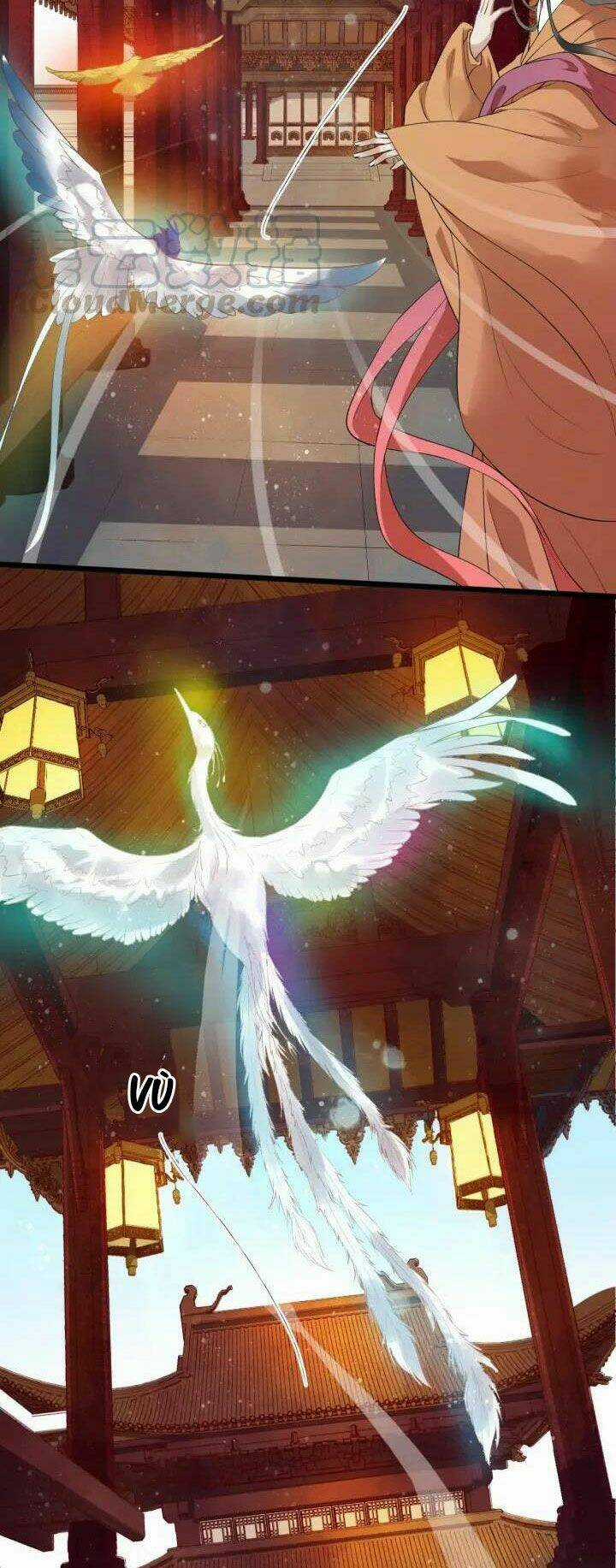 Bồng Sơn Viễn 2 - Chapter 18 - Trang 18