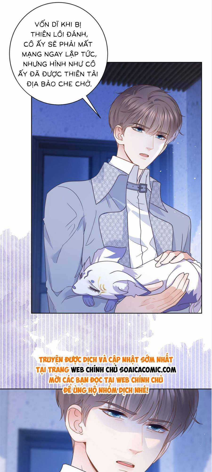 Boss Sát Thủ Dưỡng Hồ Yêu - Chapter 113 - Trang 4