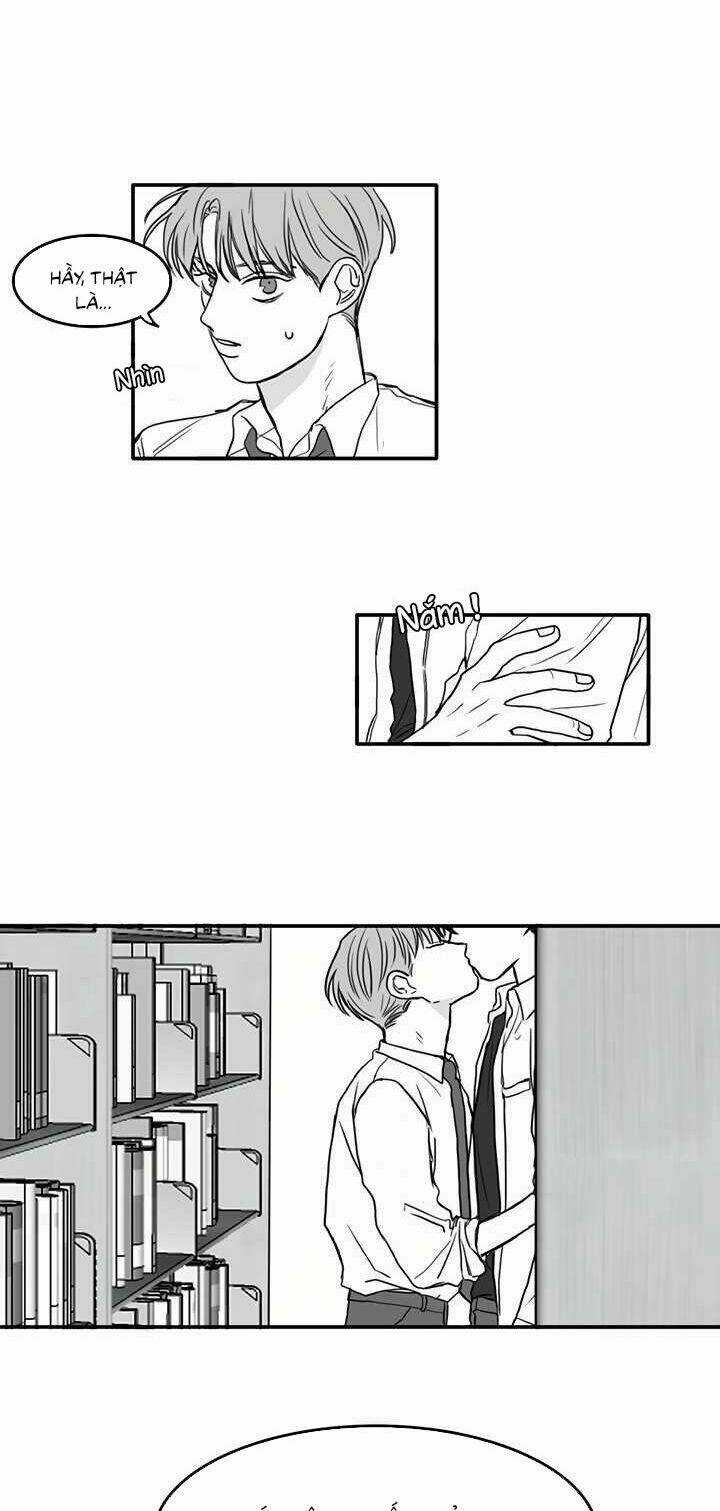 Boys Love - Chapter 14 - Trang 17