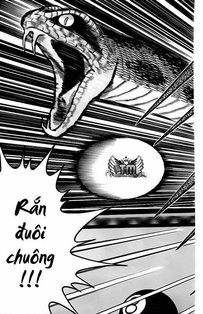 Break Shot - Chapter 64 - Trang 12