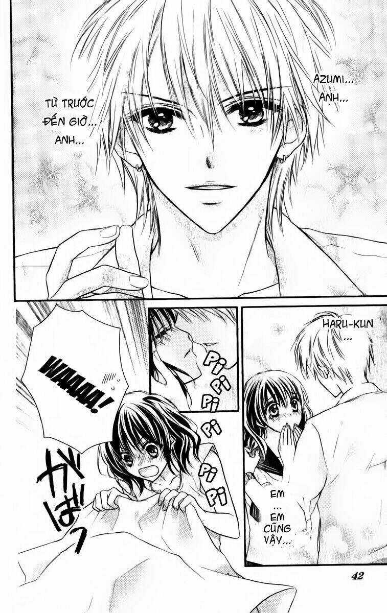 Bride - Junai Honey - Chapter 2 - Trang 4