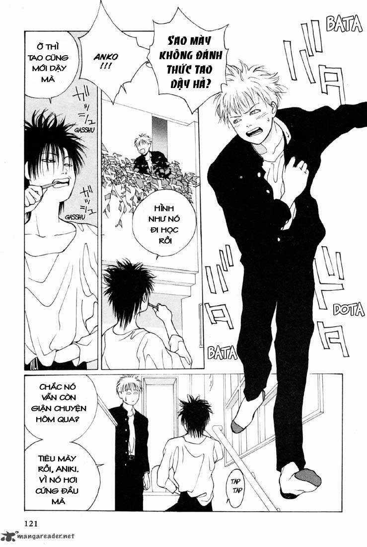 Brothers - Chapter 5 - Trang 10