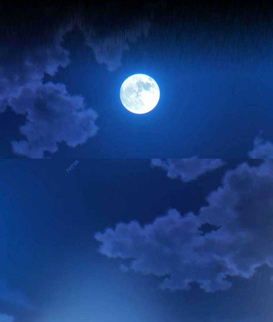 Bù Nhìn - Chương 6 - Trang 234