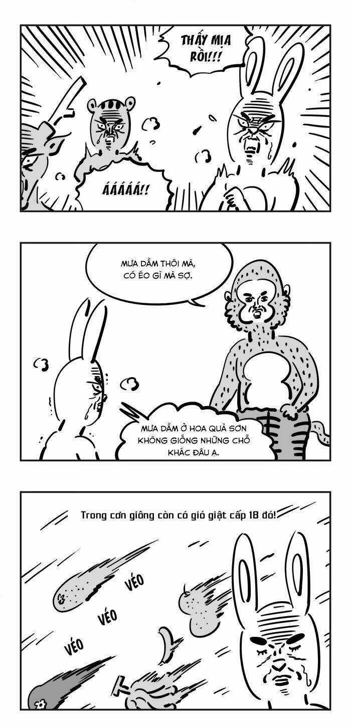 Bựa Du Kí - Chapter 2 - Trang 11