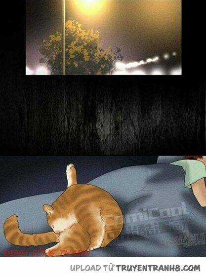 Bức Tường Cũ - Chapter 3 - Trang 6